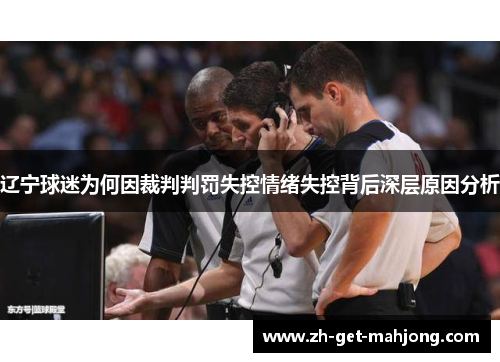 辽宁球迷为何因裁判判罚失控情绪失控背后深层原因分析